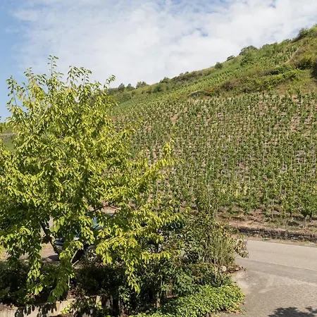 Garni 