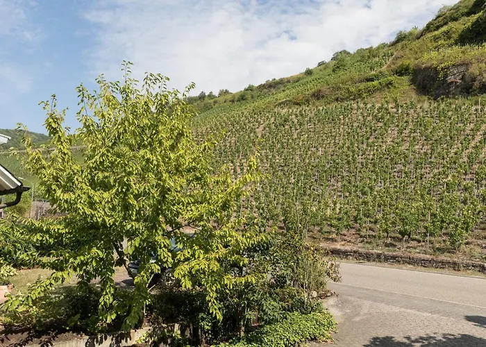 Garni Café Im Hamm Zell an der Mosel