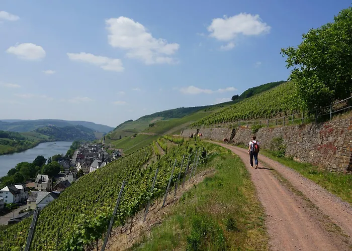 Garni Café Im Hamm Hotell 3*